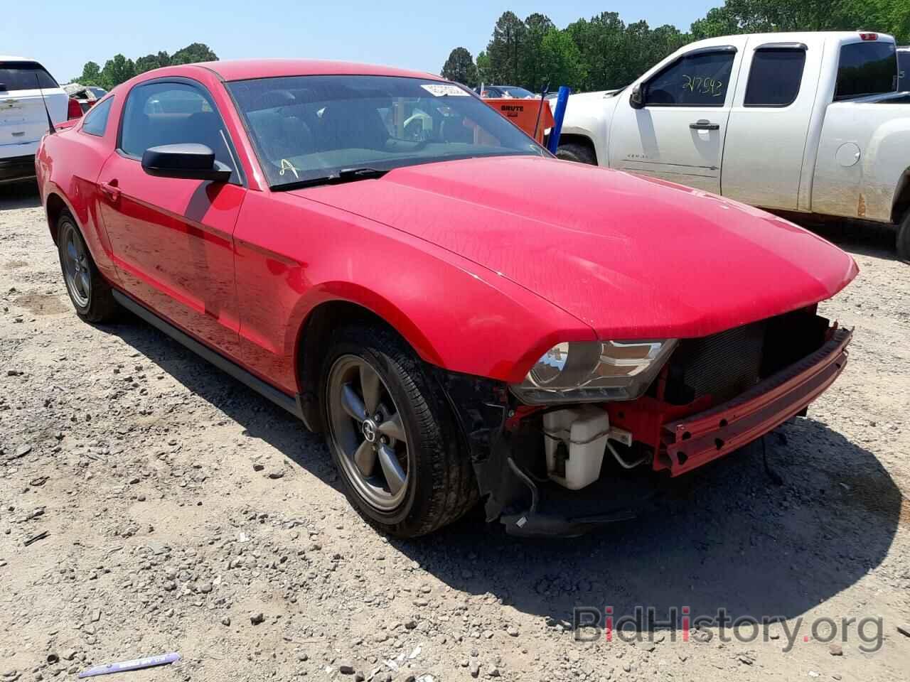 Photo 1ZVBP8AN9A5165902 - FORD MUSTANG 2010