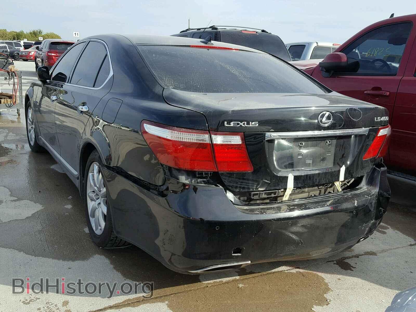 2009 LEXUS LS460 - VIN: JTHBL46F595084902 - Фото 3