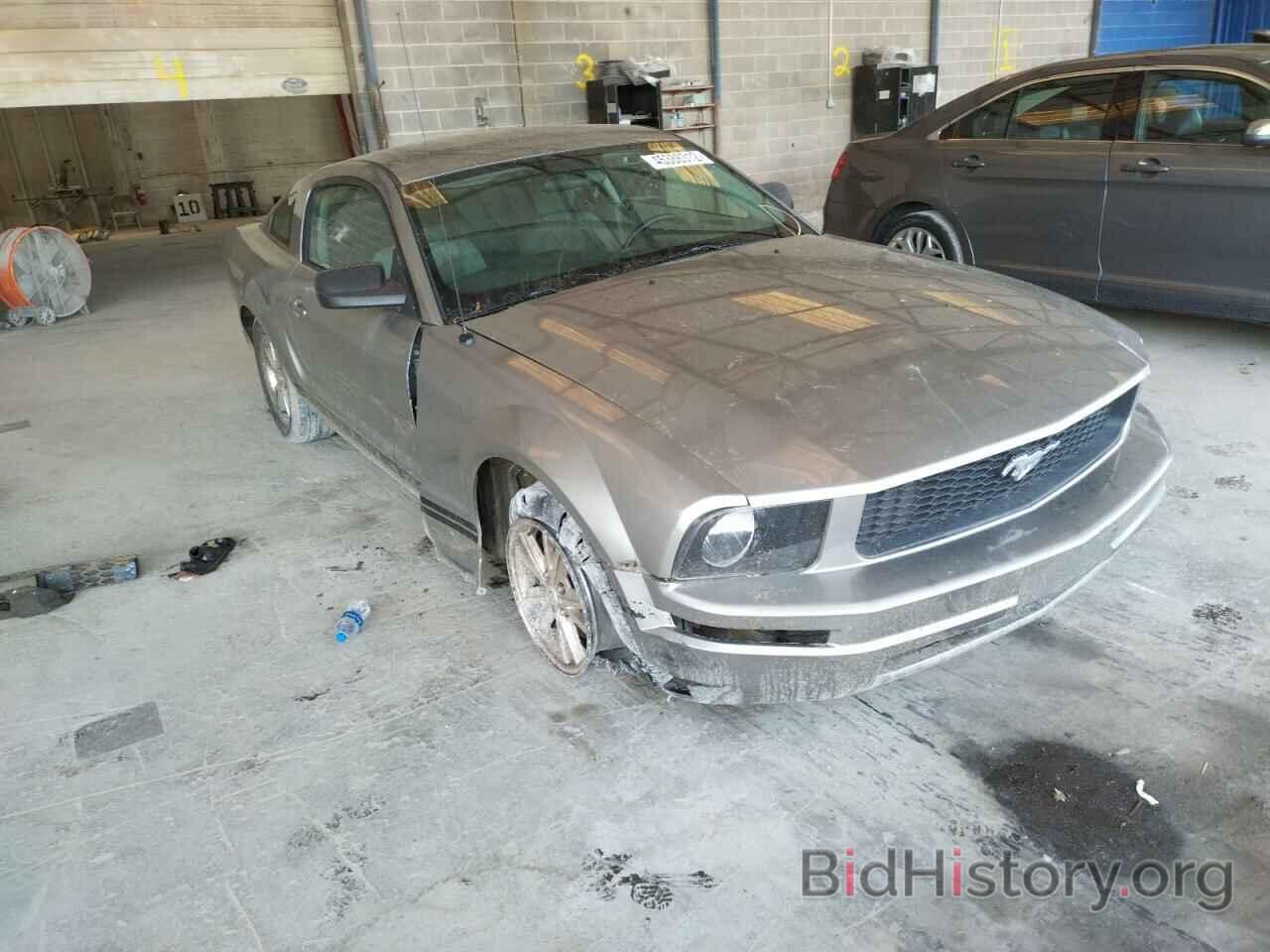 Photo 1ZVHT80N885209342 - FORD MUSTANG 2008