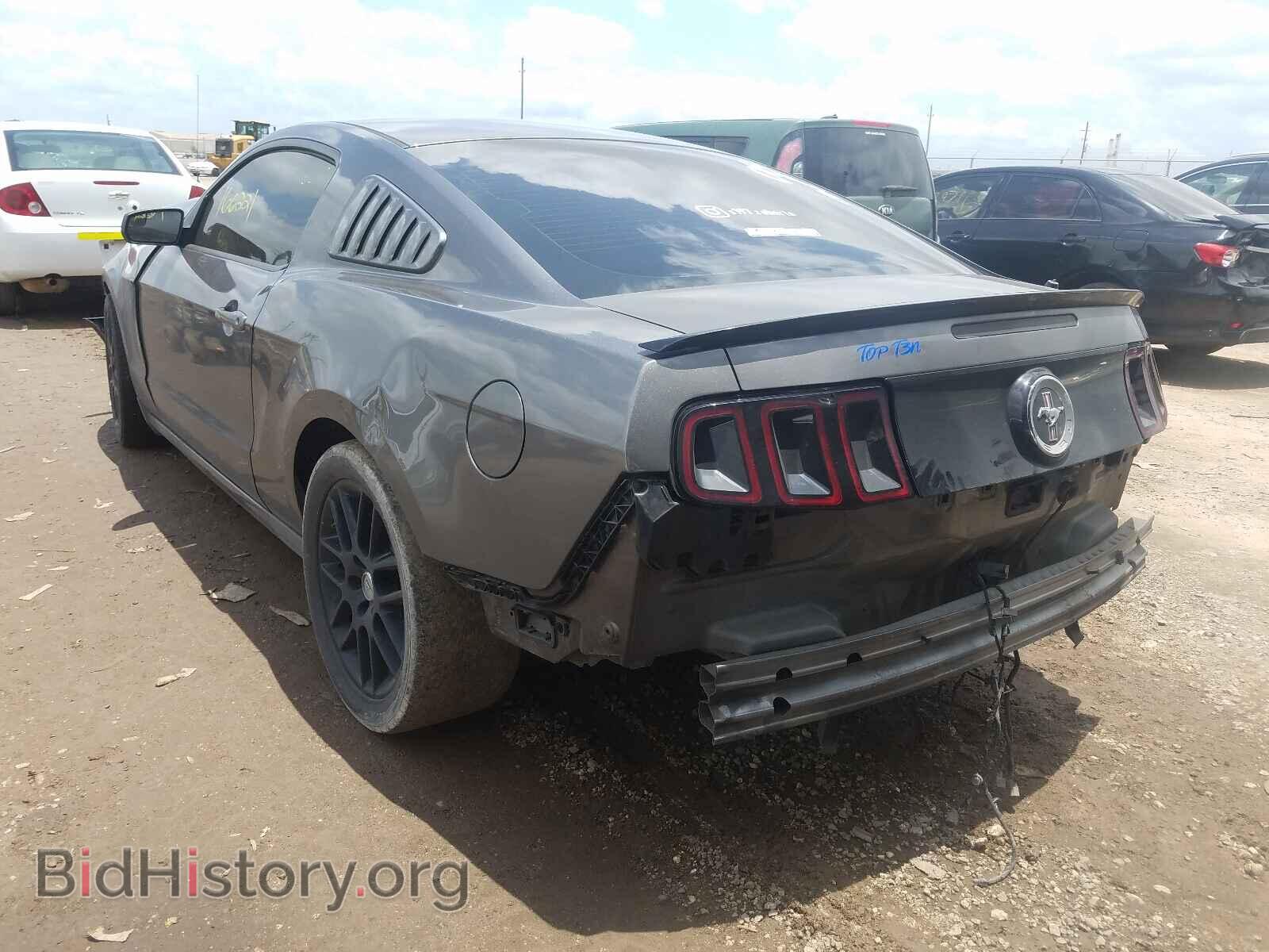 2014 FORD MUSTANG - VIN: 1ZVBP8AM4E5303861 - Фото 3