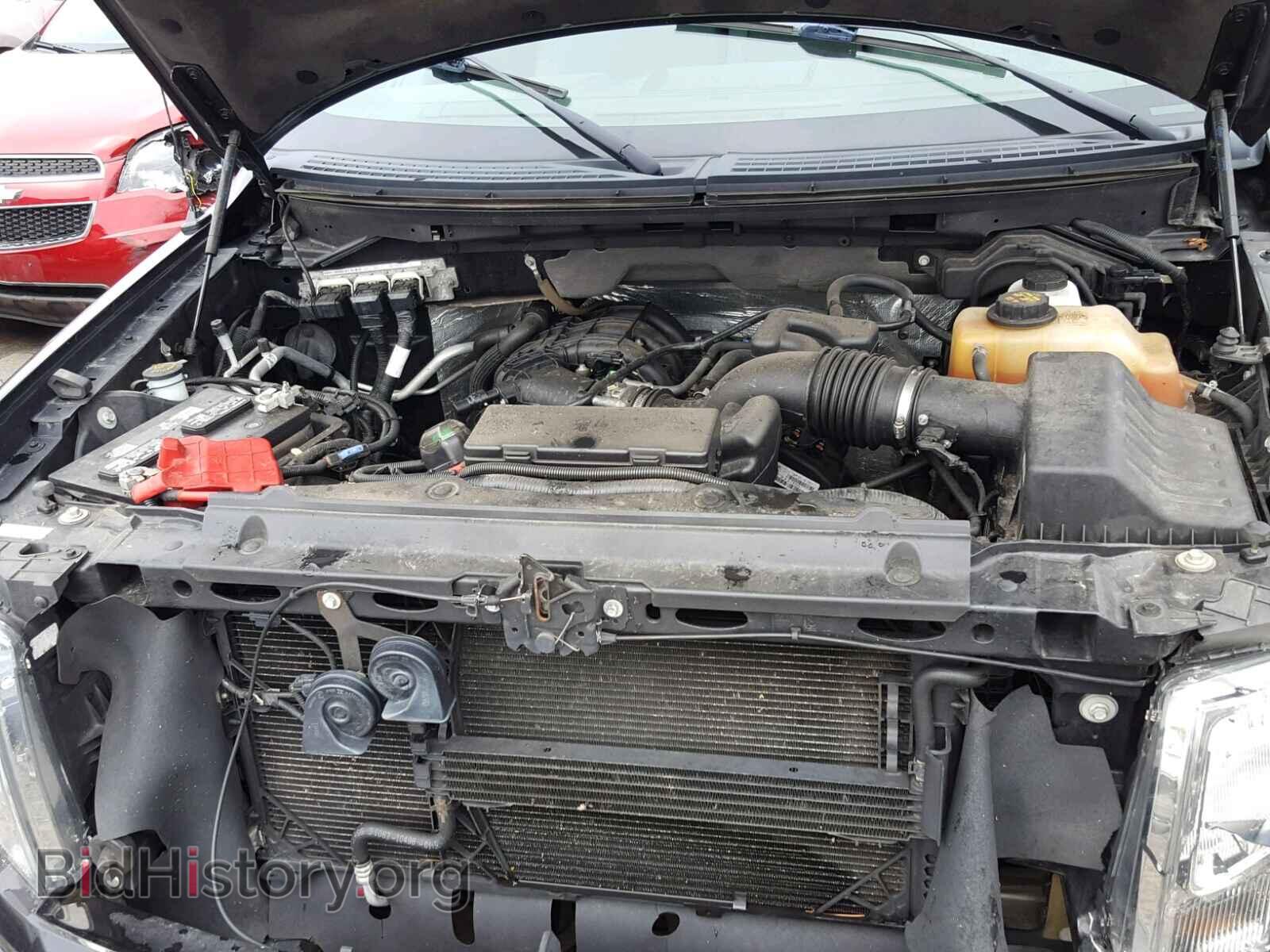 2013 FORD F150 - VIN: 1FTMF1EM0DFC52688 - Фото 7