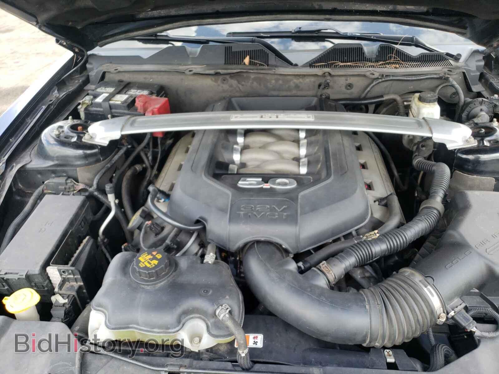 2013 FORD MUSTANG - VIN: 1ZVBP8FF5D5260267 - Фото 7