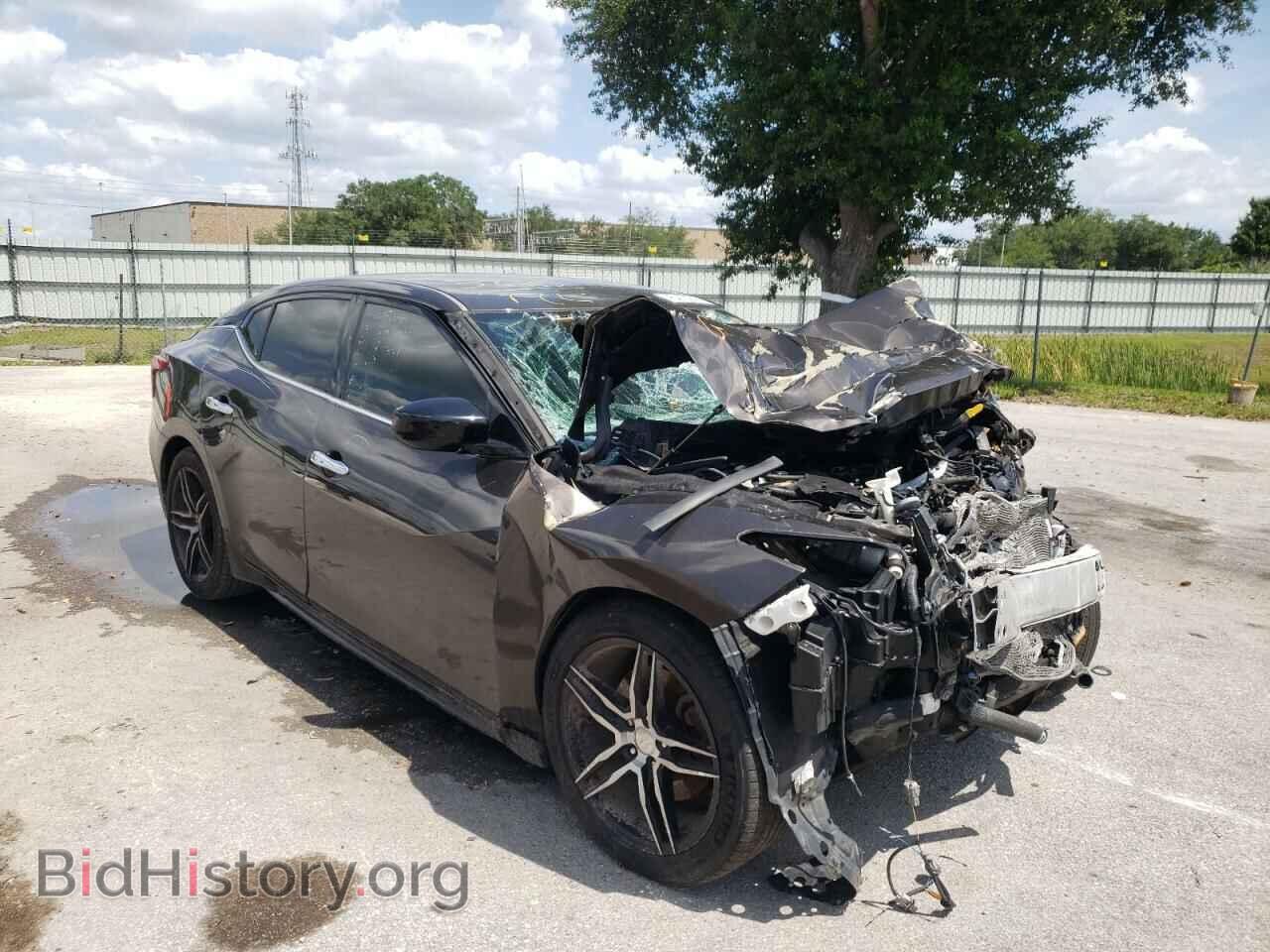 Фотография 1N4AA6AP1HC366890 - NISSAN MAXIMA 2017