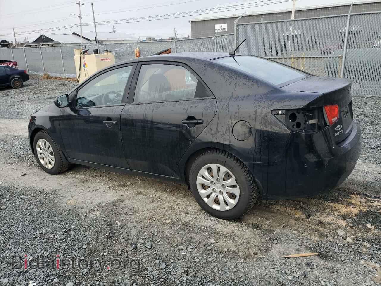 2010 KIA FORTE - VIN: KNAFT4A2XA5044193 - Фото 2