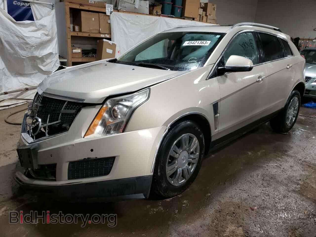 Фотография 3GYFNAEY9AS518550 - CADILLAC SRX 2010
