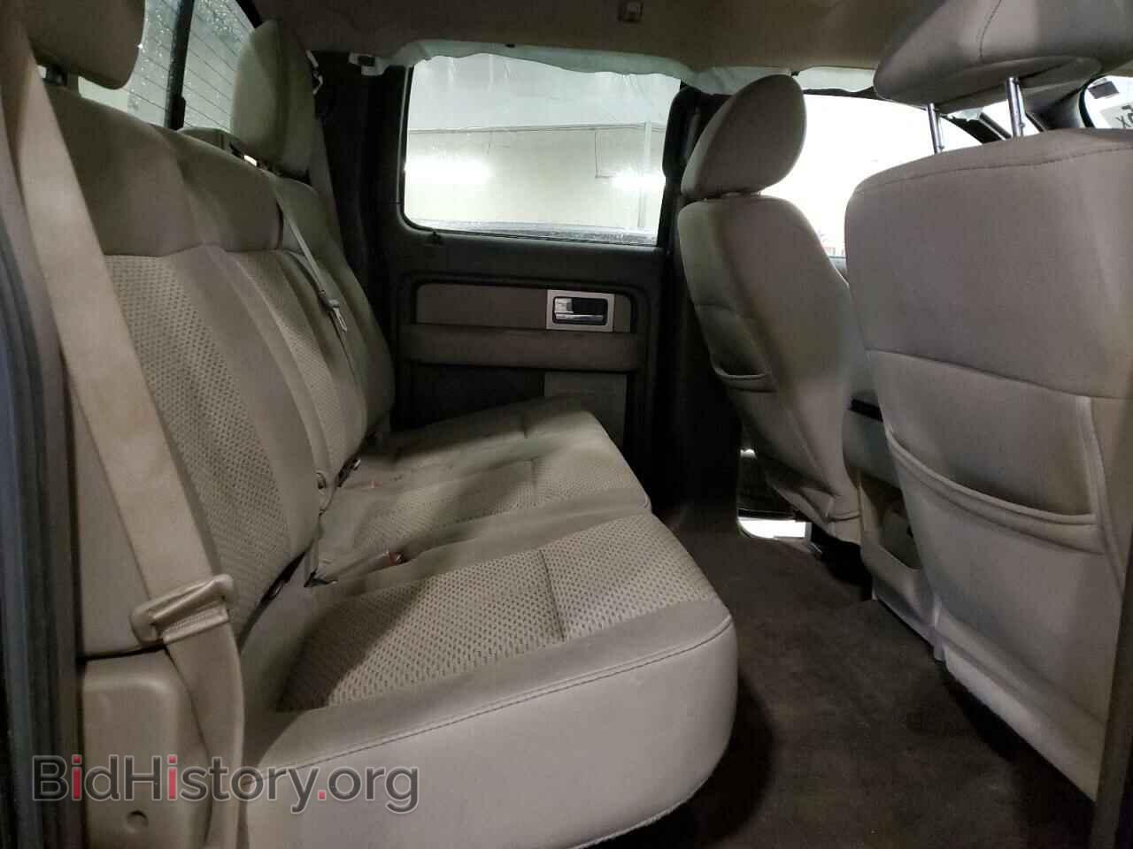 2010 FORD F-150 - VIN: 1FTFW1EV4AFC05533 - Фото 10