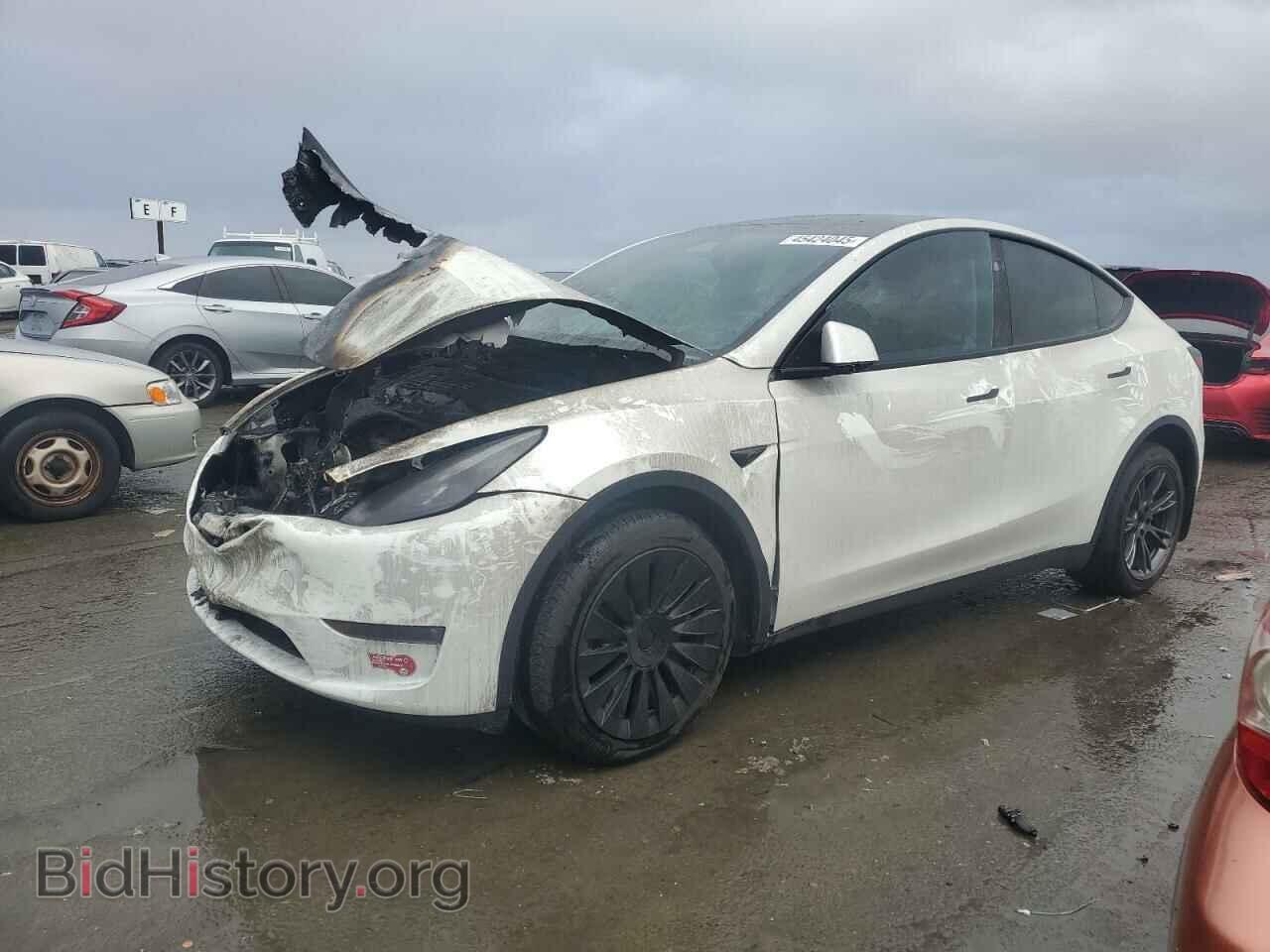 Photo 7SAYGDEE8RF184292 - TESLA MODEL Y 2024