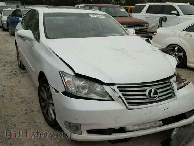 Photo JTHBK1EG8A2409835 - LEXUS ES350 2010