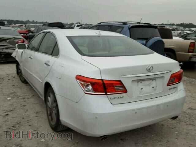 2010 LEXUS ES350 - VIN: JTHBK1EG8A2409835 - Фото 3