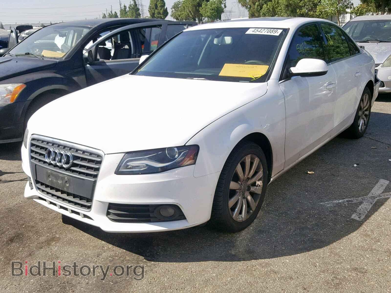 2010 AUDI A4 - VIN: WAUEFAFL3AN030395 - Фото 2