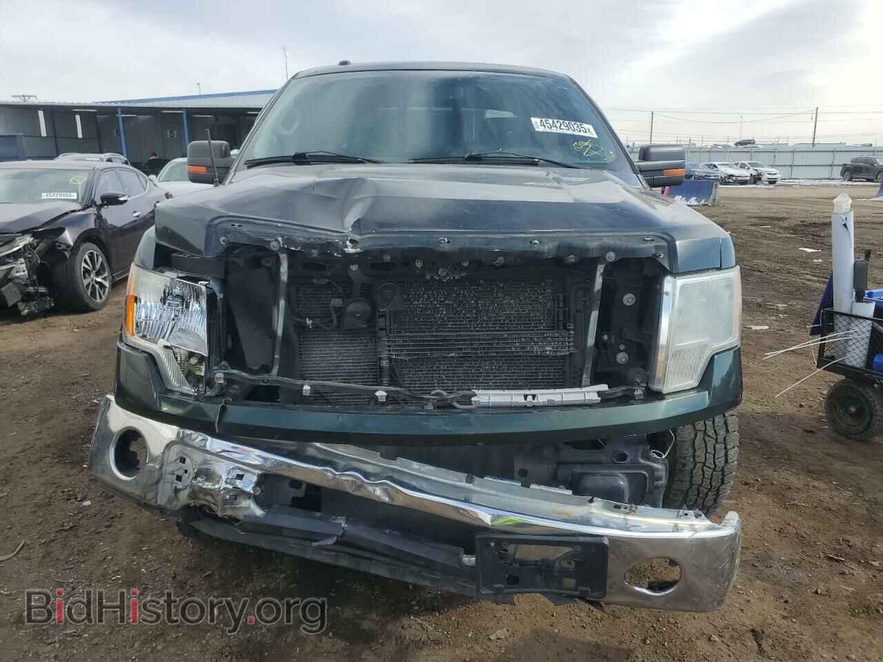 2013 FORD F-150 - VIN: 1FTFX1EF8DKD60362 - Фото 5