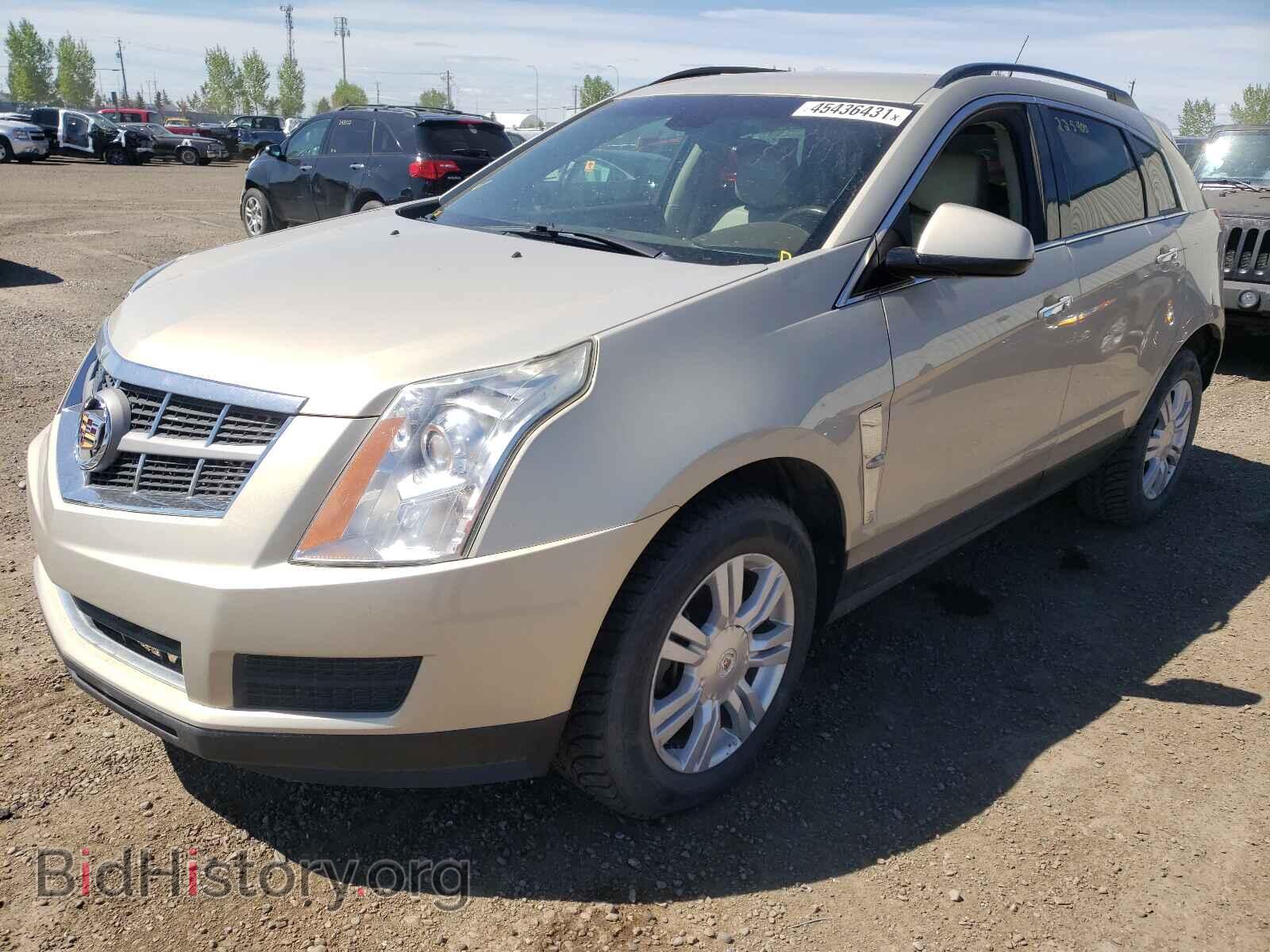 2010 CADILLAC SRX - VIN: 3GYFNGEY2AS659060 - Фото 2