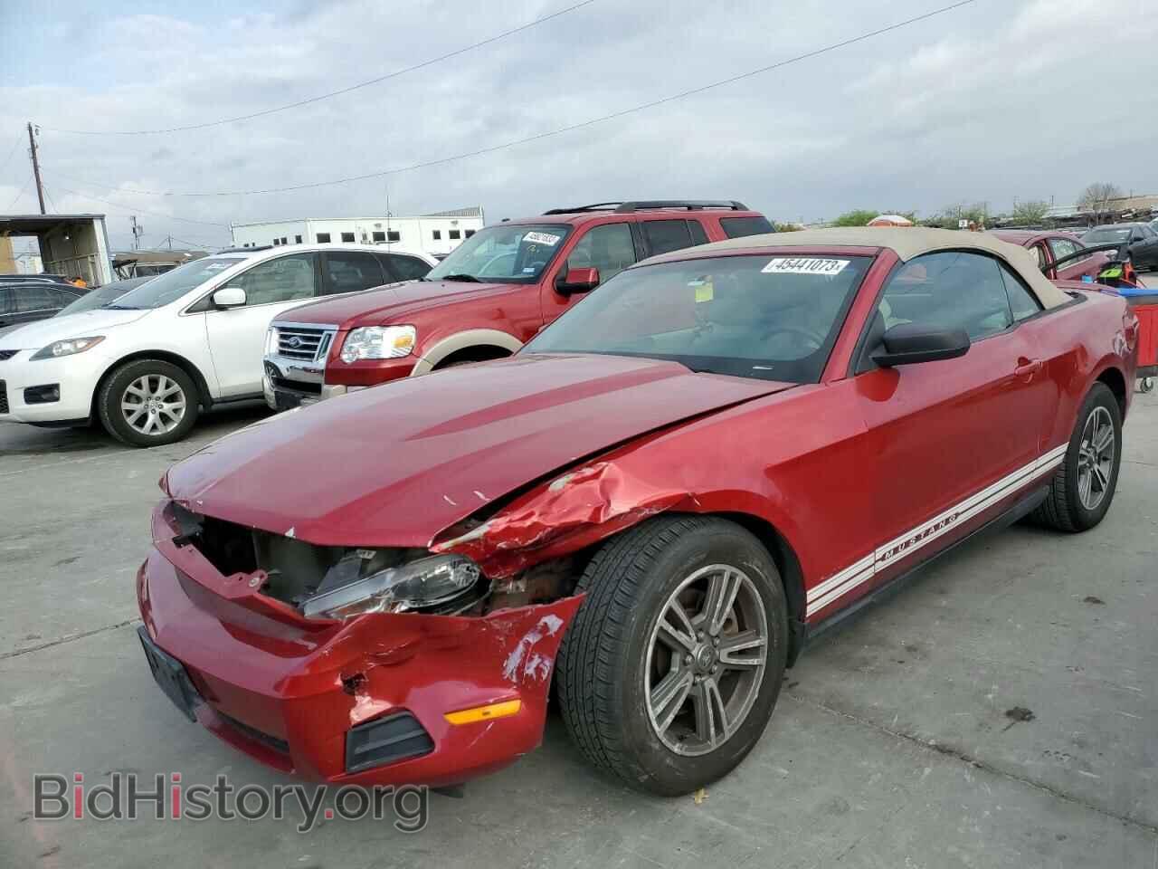 Фотография 1ZVBP8EM5B5120233 - FORD MUSTANG 2011