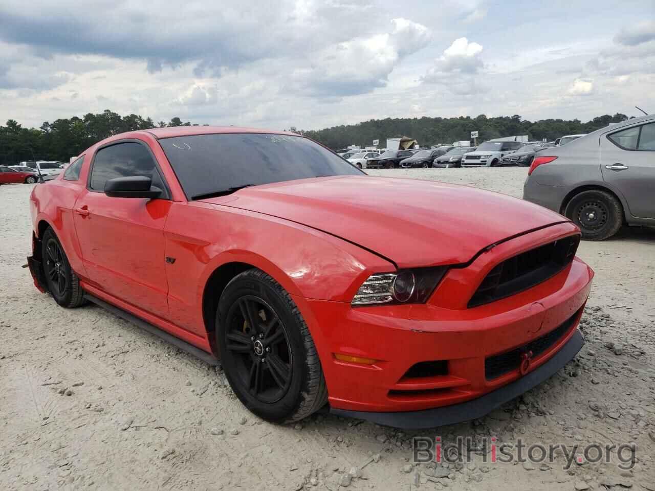 Photo 1ZVBP8AM6E5235997 - FORD MUSTANG 2014