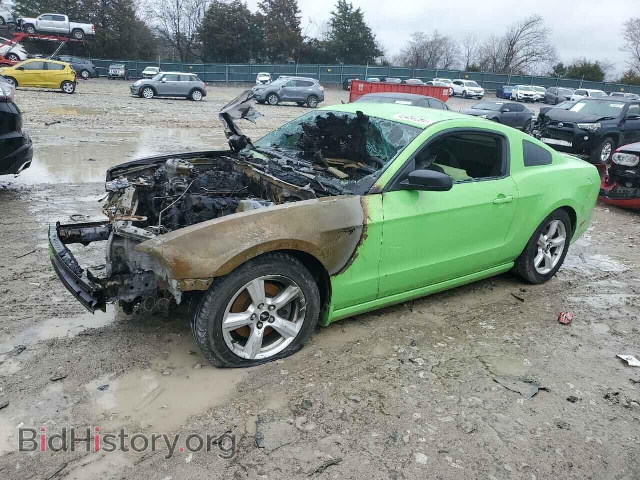 Photo 1ZVBP8AM4E5269291 - FORD ALL Models 2014