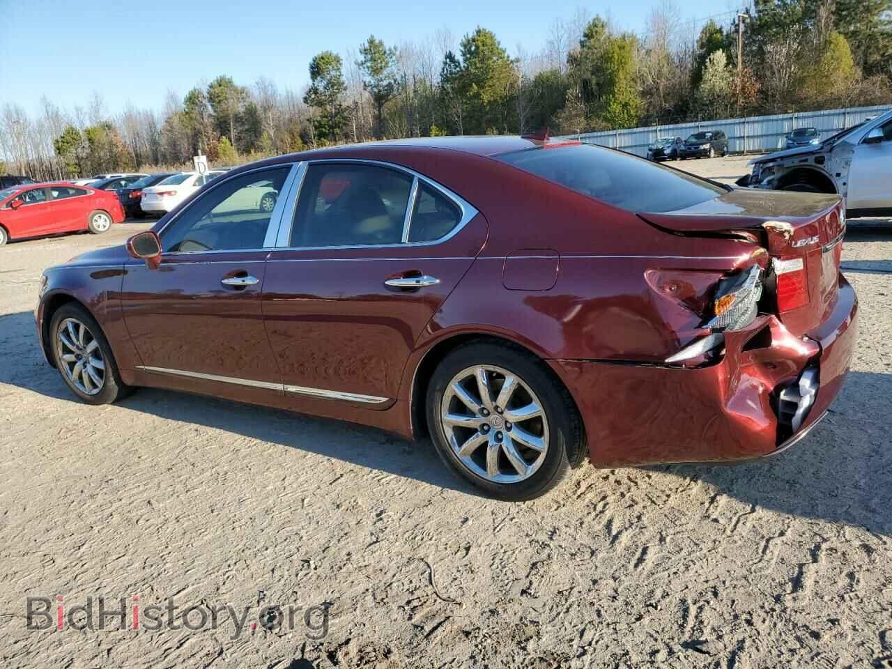 2008 LEXUS LS460 - VIN: JTHBL46F685054726 - Фото 2