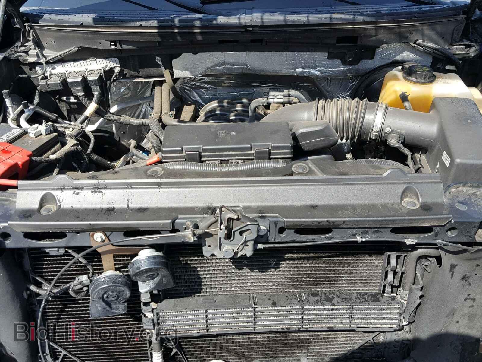 2013 FORD F150 - VIN: 1FTMF1CF3DFD34077 - Фото 7