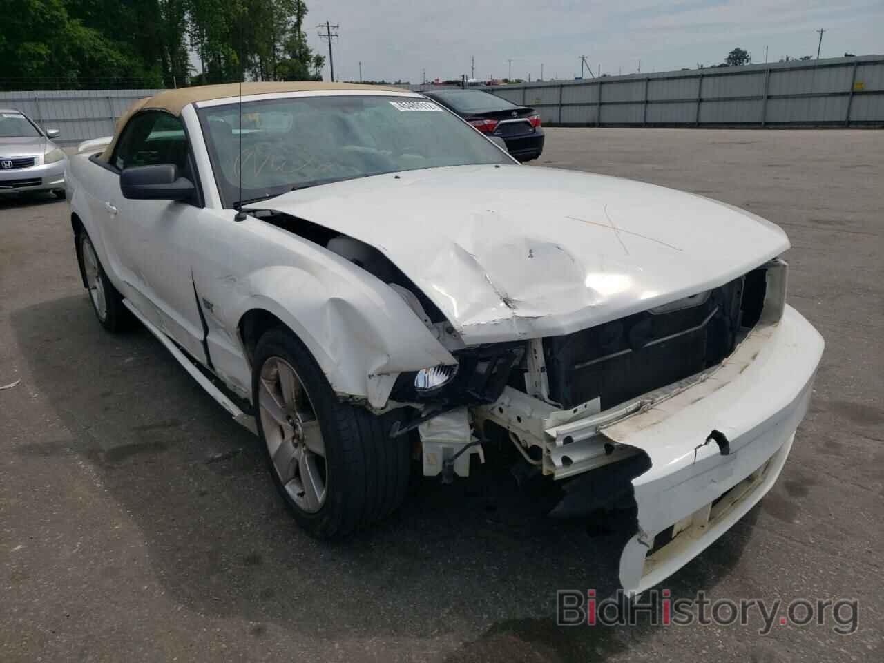 Photo 1ZVHT85H665240010 - FORD MUSTANG 2006