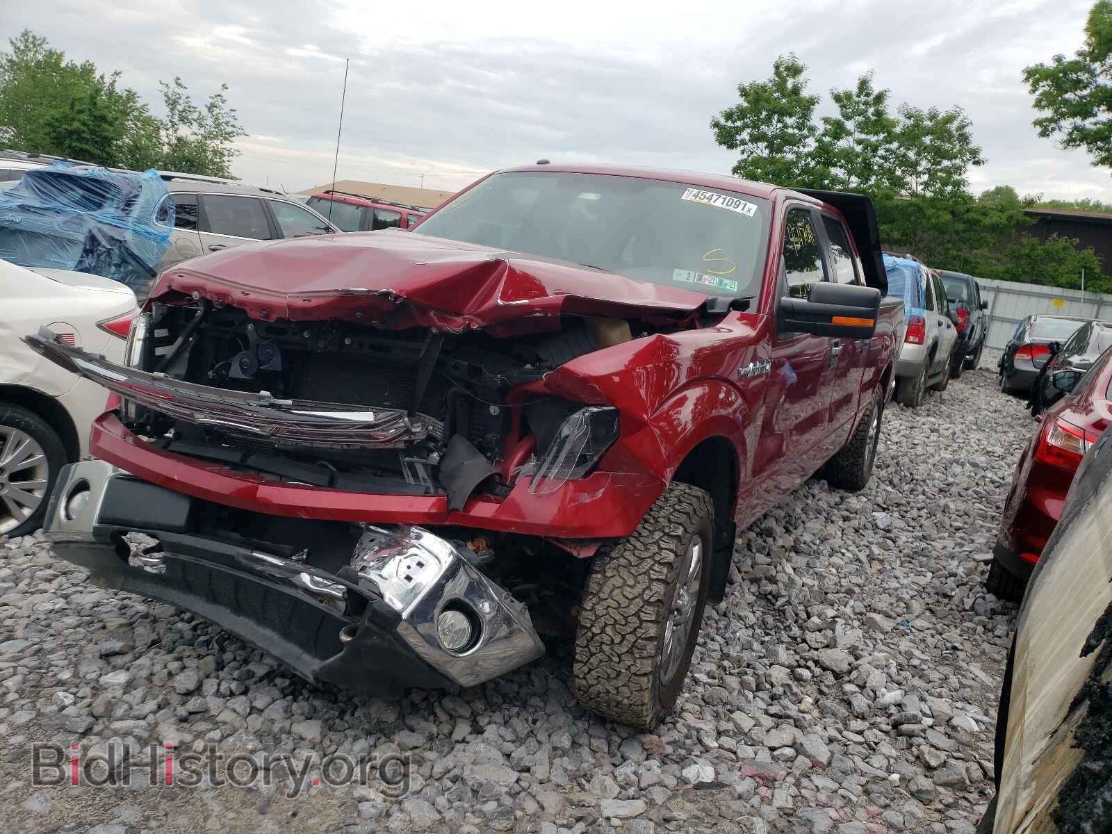 2013 FORD F-150 - VIN: 1FTFW1EF8DFD98041 - Фото 2