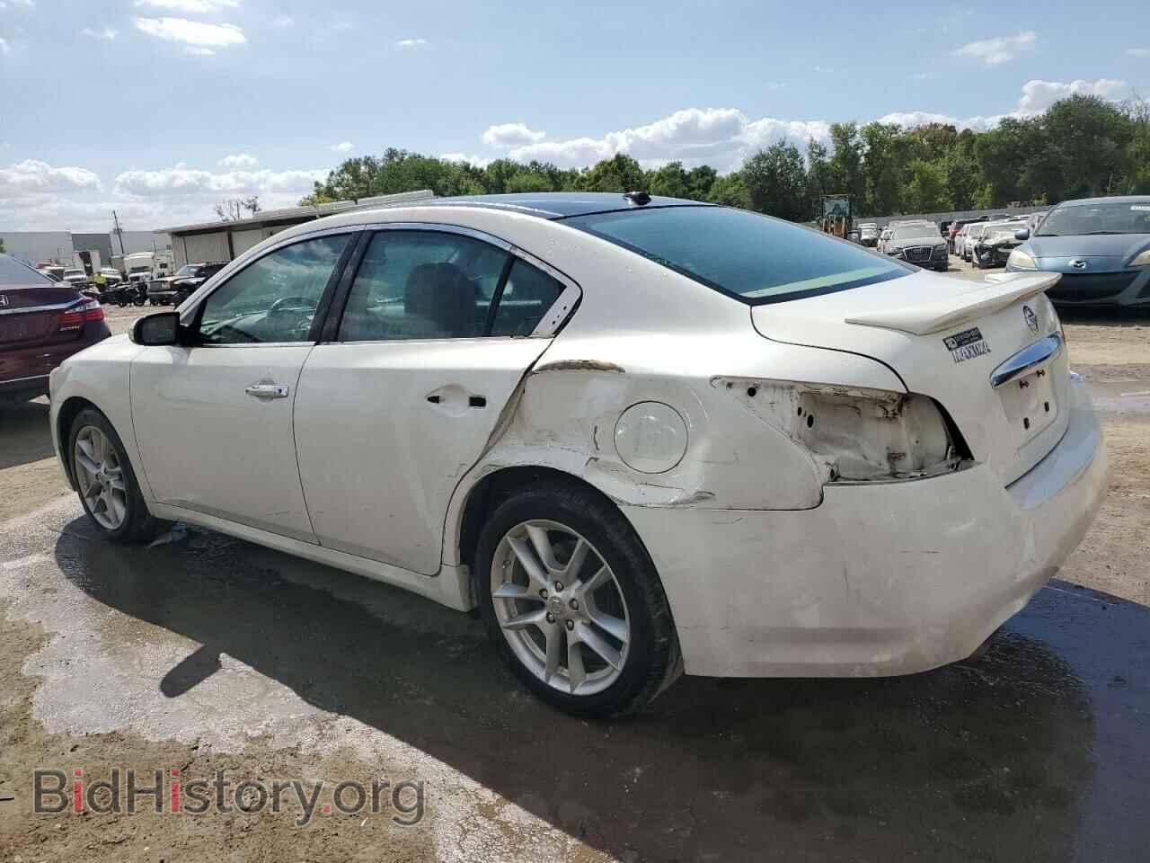 2009 NISSAN MAXIMA - VIN: 1N4AA51E19C810053 - Фото 2