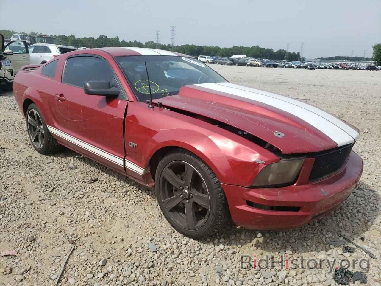 Photo 1ZVHT82H985152852 - FORD MUSTANG 2008