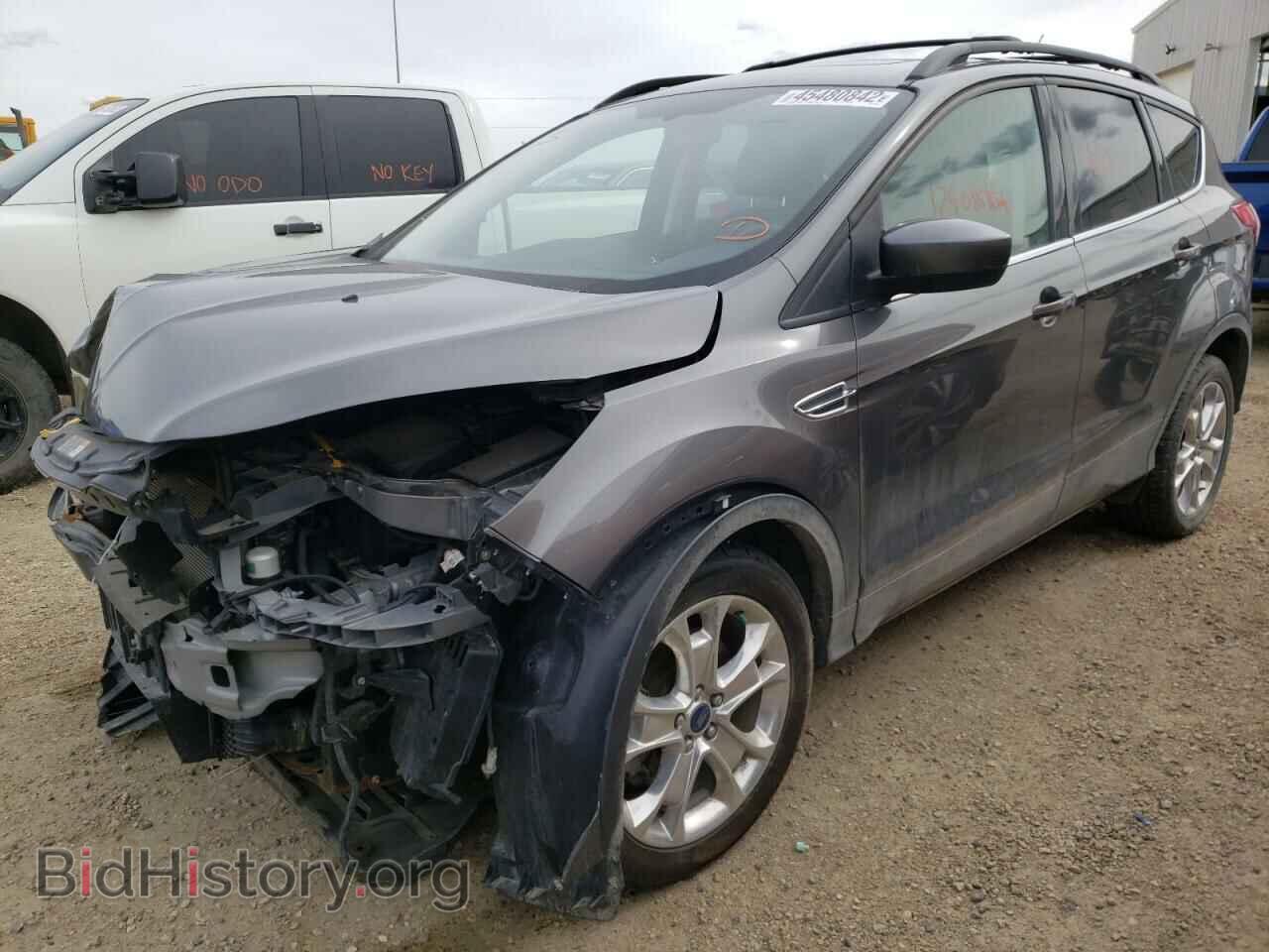 2013 FORD ESCAPE - VIN: 1FMCU9G92DUA55666 - Photo 2