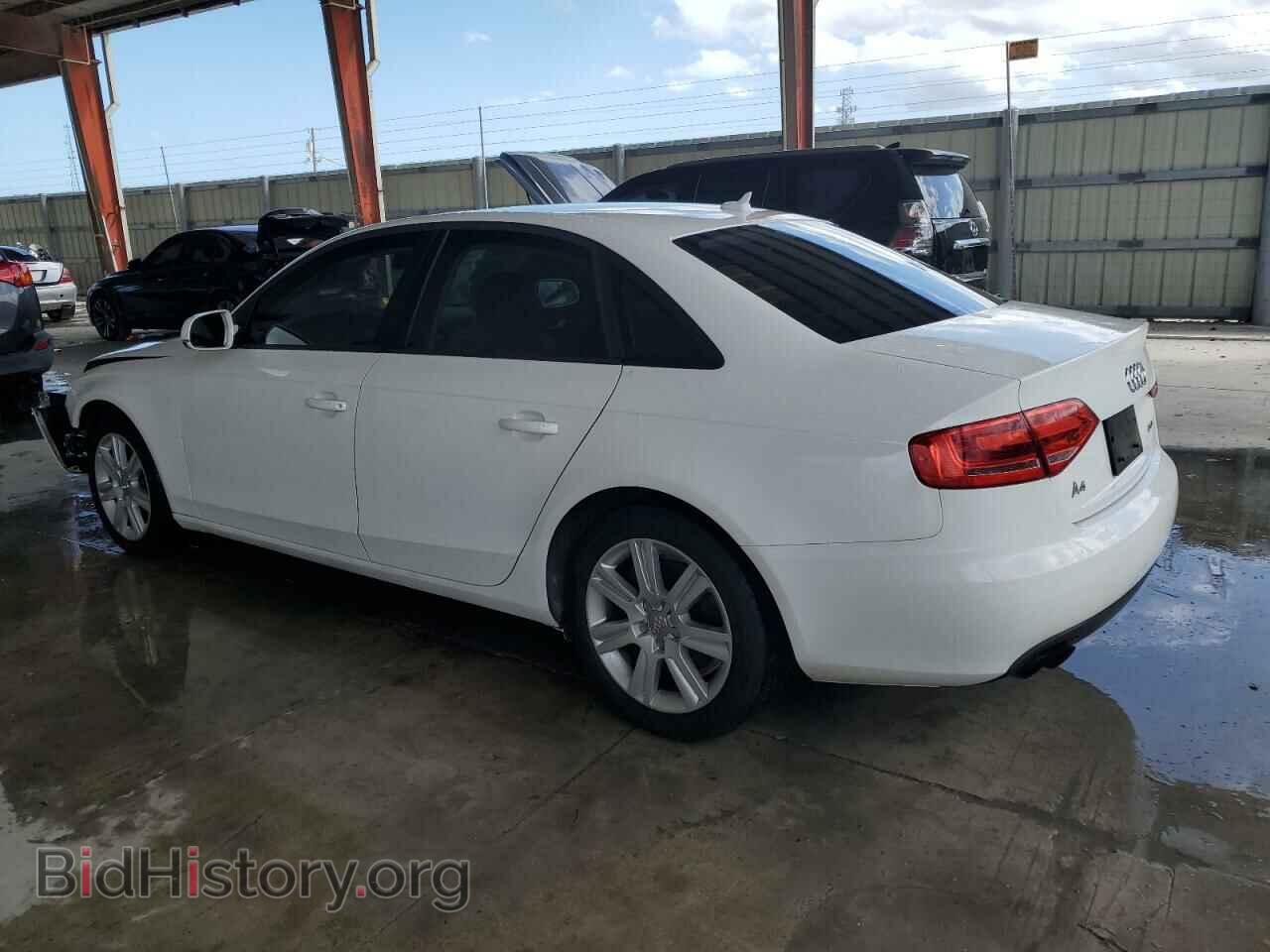 2010 AUDI A4 - VIN: WAUAFAFL3AN000599 - Фото 2