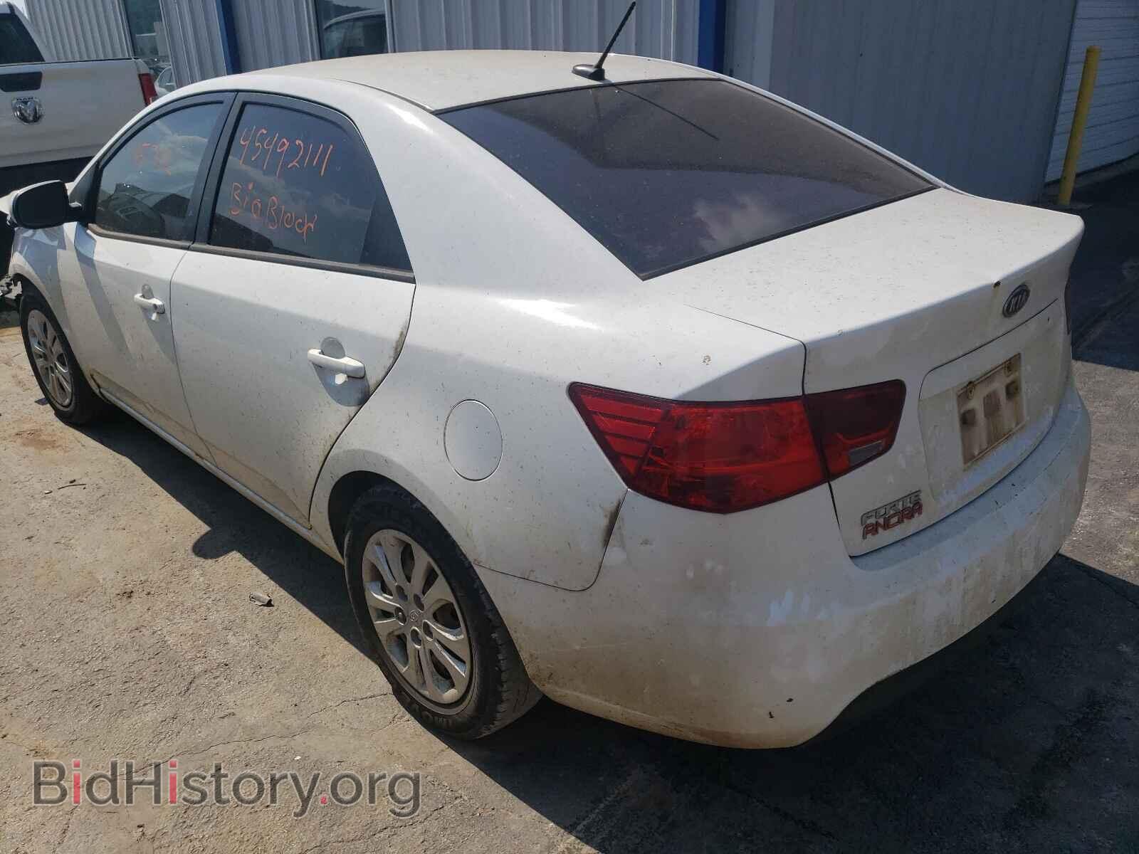 2012 KIA FORTE - VIN: KNAFT4A27C5511282 - Фото 3