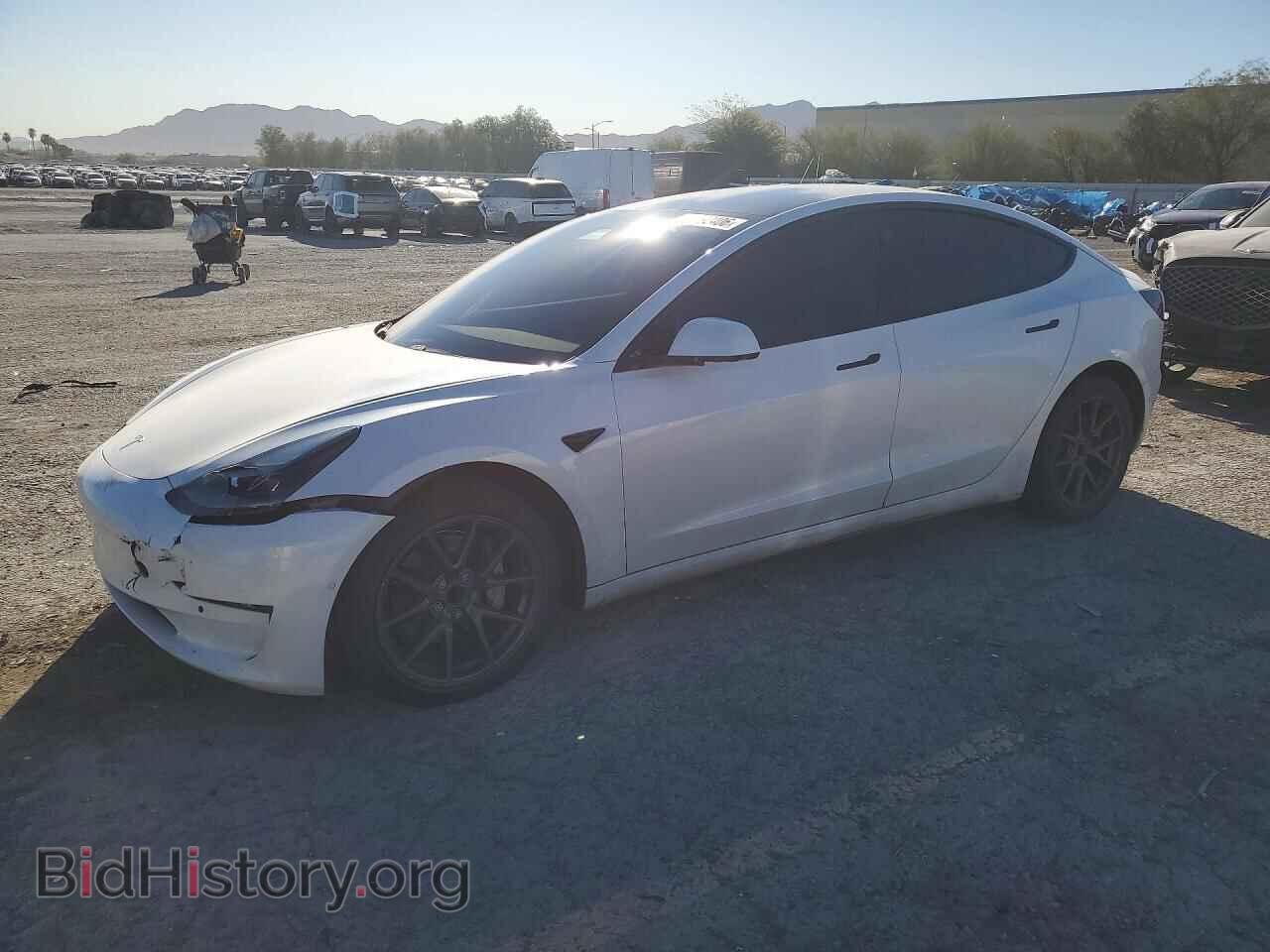 Фотография 5YJ3E1EA1MF076162 - TESLA MODEL 3 2021