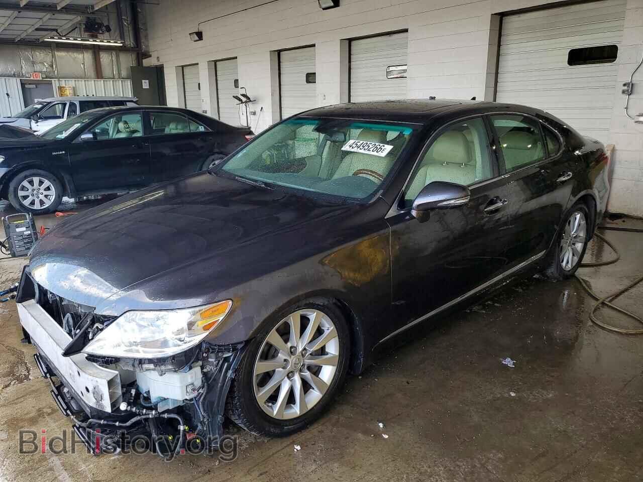 Photo JTHCL5EFXA5004669 - LEXUS LS500 2010