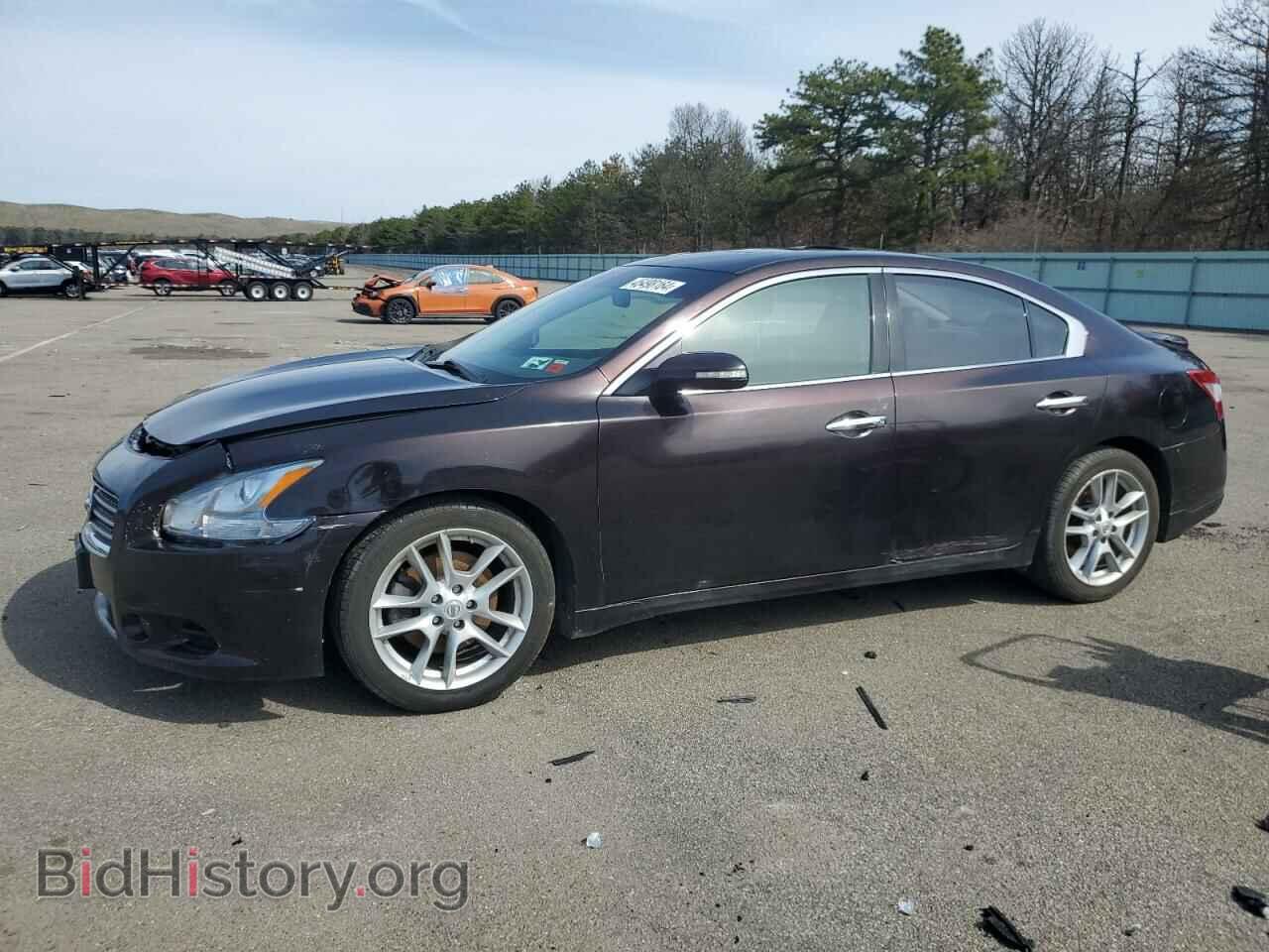 Photo 1N4AA5AP6AC843975 - NISSAN MAXIMA 2010