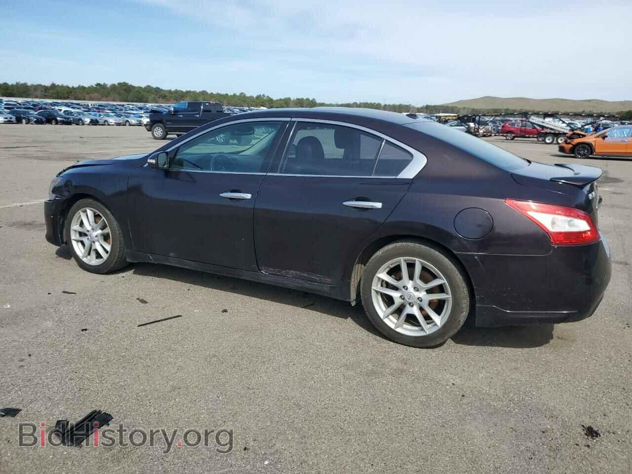 2010 NISSAN MAXIMA - VIN: 1N4AA5AP6AC843975 - Фото 2