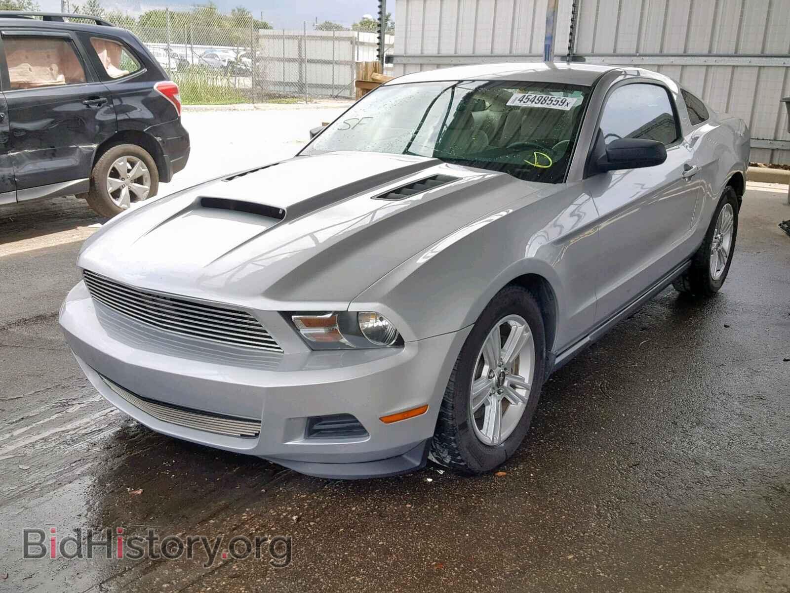 2011 FORD MUSTANG - VIN: 1ZVBP8AM1B5140940 - Фото 2
