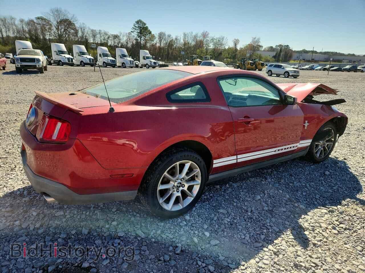 2010 FORD MUSTANG - VIN: 1ZVBP8AN9A5157895 - Фото 3