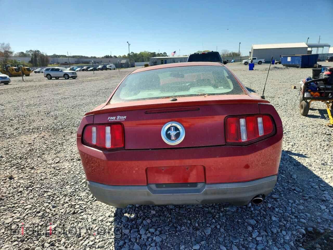 2010 FORD MUSTANG - VIN: 1ZVBP8AN9A5157895 - Фото 6