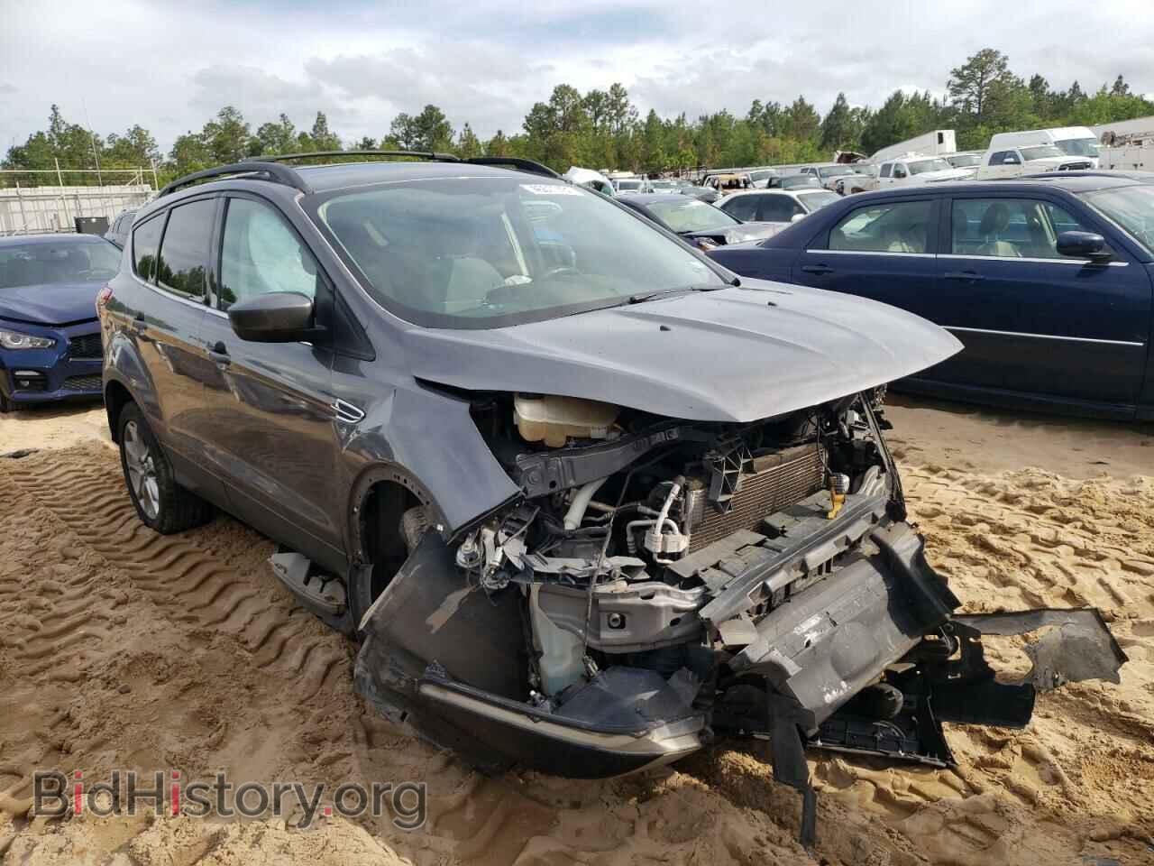 Фотография 1FMCU0G94DUA94075 - FORD ESCAPE 2013