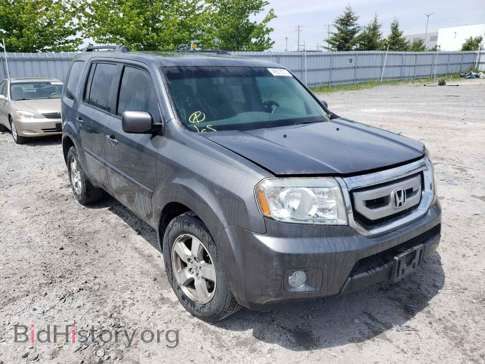 Фотография 5FNYF4H50BB026725 - HONDA PILOT 2011