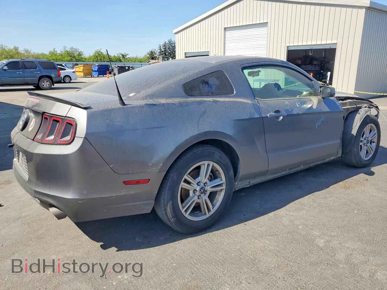 2013 FORD MUSTANG - VIN: 1ZVBP8AM4D5221658 - Фото 3