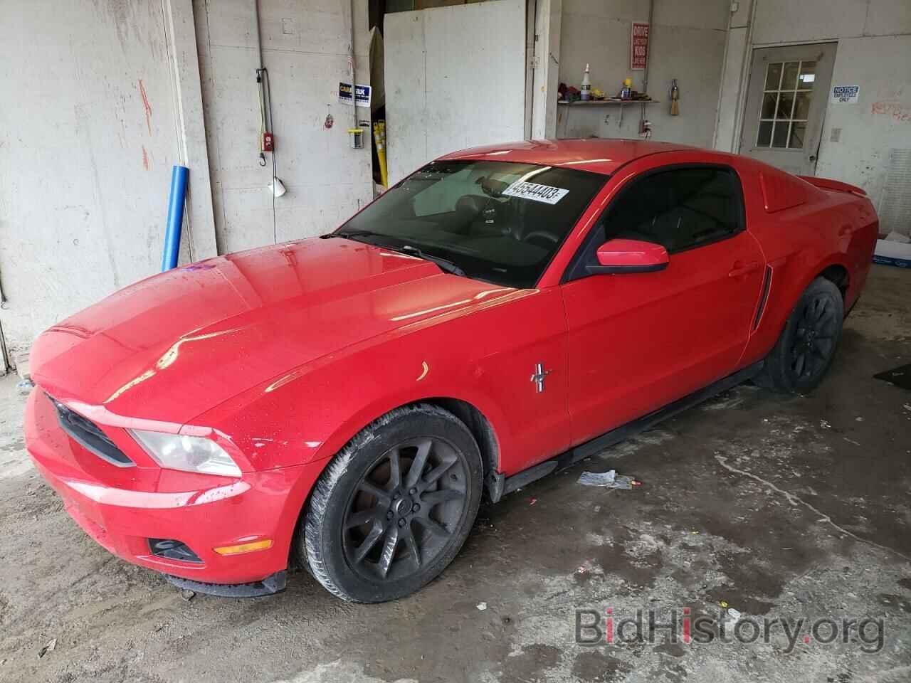 Photo 1ZVBP8AN1A5162296 - FORD MUSTANG 2010
