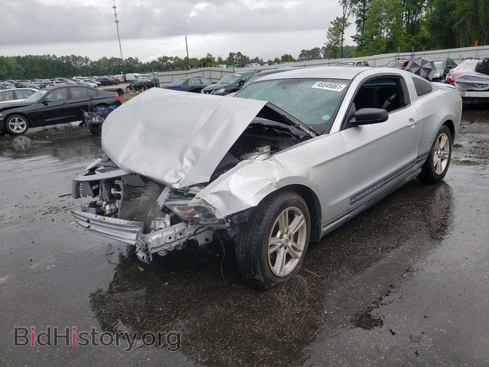 2010 FORD MUSTANG - VIN: 1ZVBP8AN7A5145289 - Фото 2