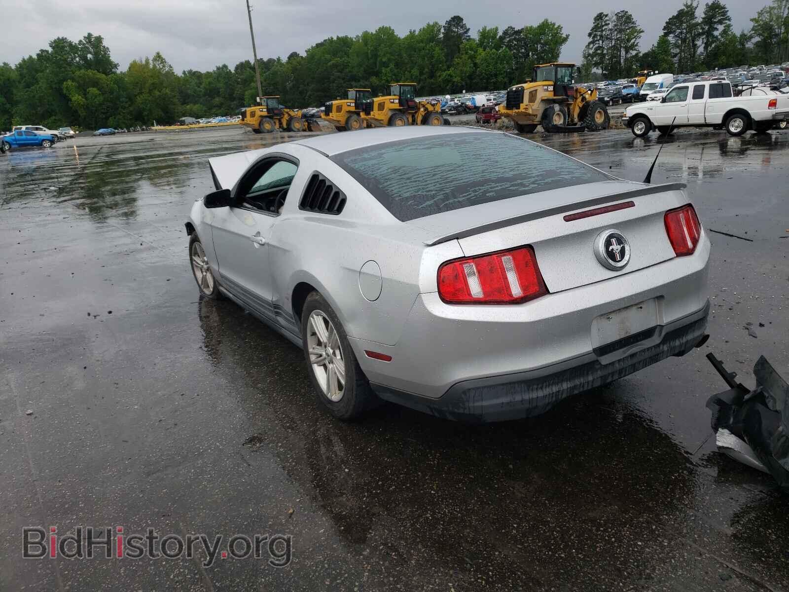 2010 FORD MUSTANG - VIN: 1ZVBP8AN7A5145289 - Фото 3