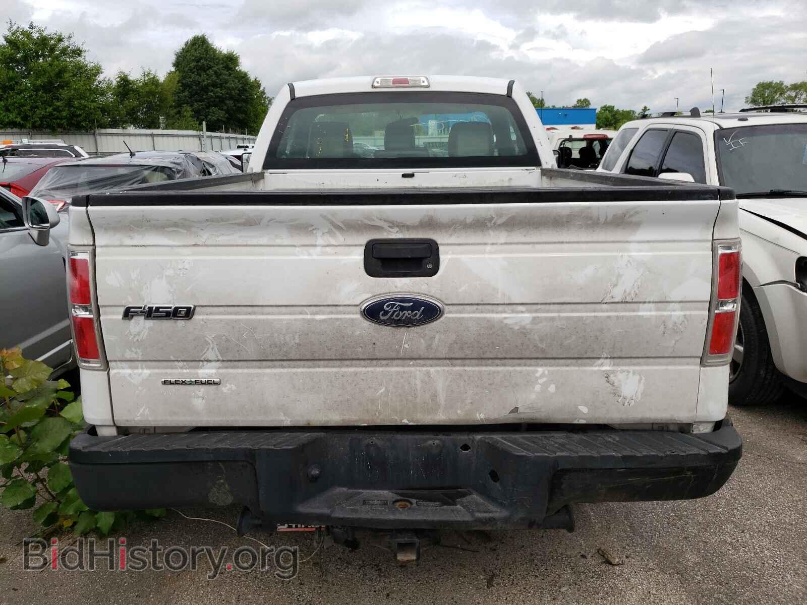 2013 FORD F150 - VIN: 1FTMF1CM8DFB89536 - Фото 6