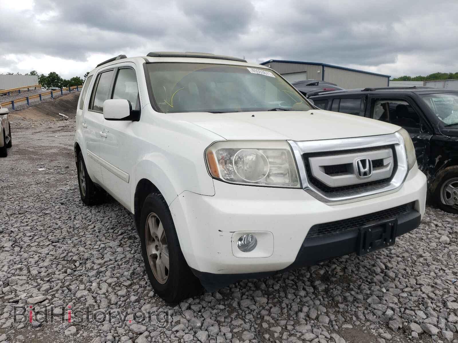 Фотография 5FNYF3H55BB016900 - HONDA PILOT 2011