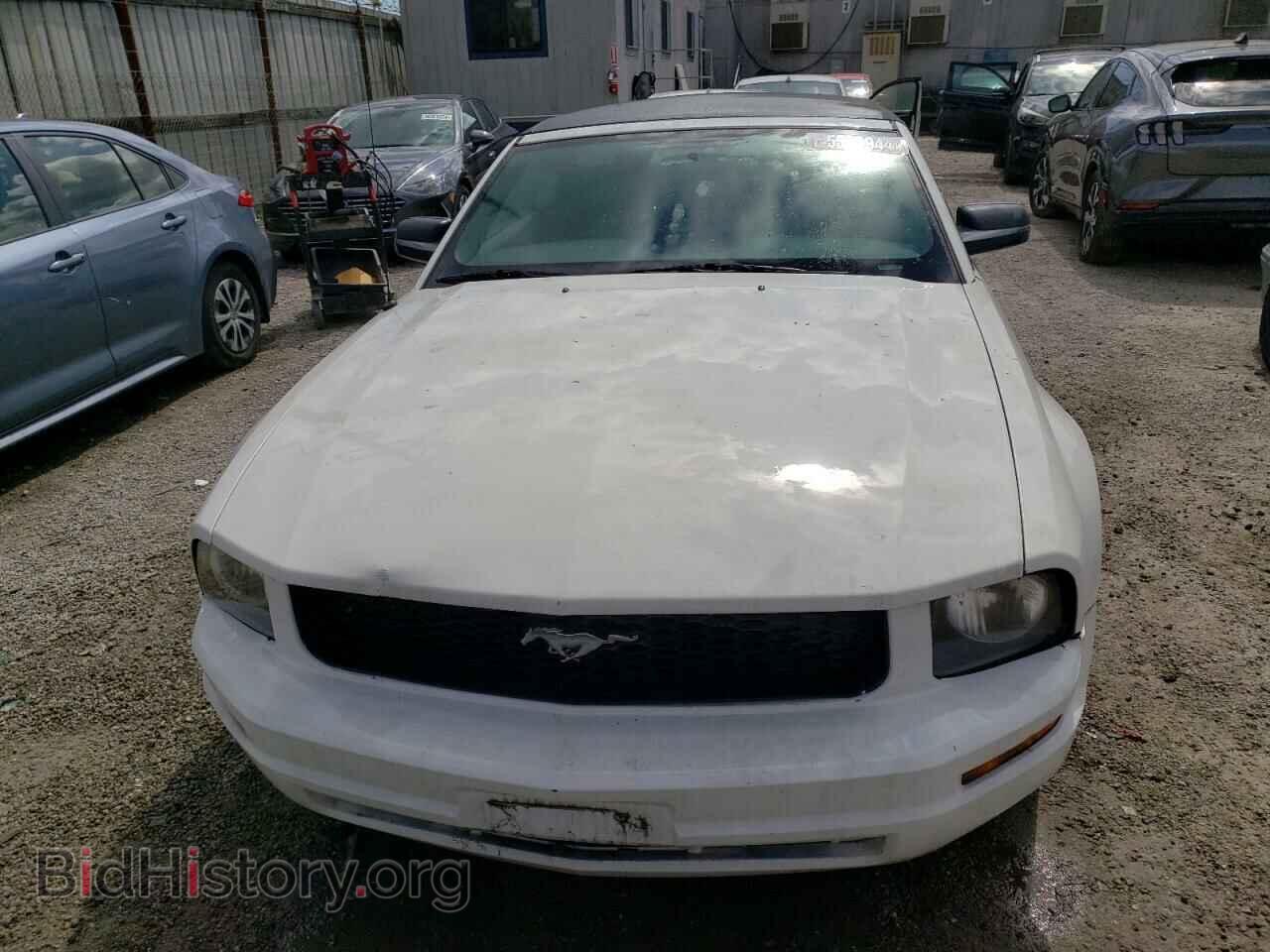 2007 FORD ALL Models - VIN: 1ZVFT84N875253650 - Фото 5