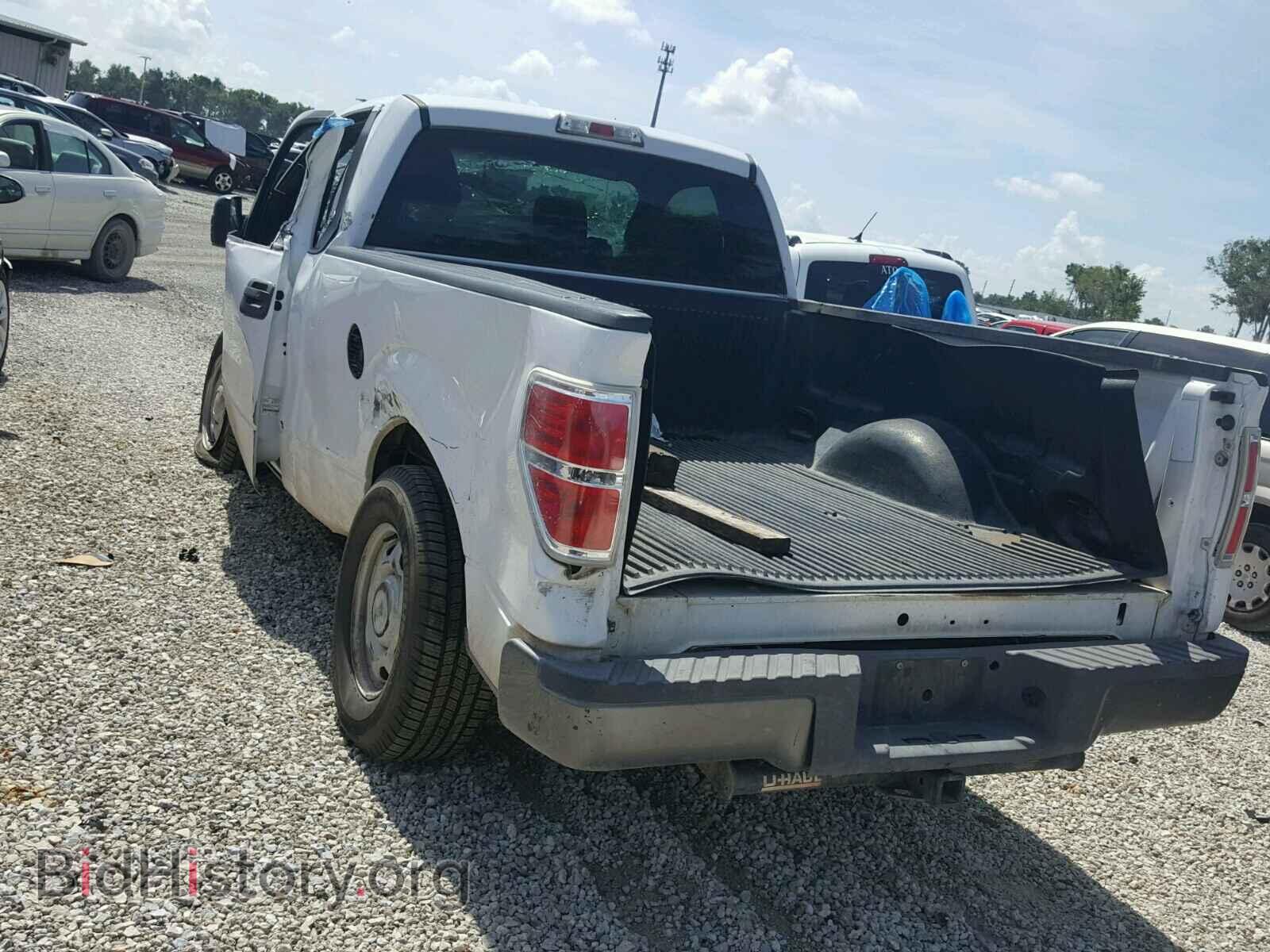 2013 FORD F150 - VIN: 1FTMF1CM1DFD23268 - Фото 3
