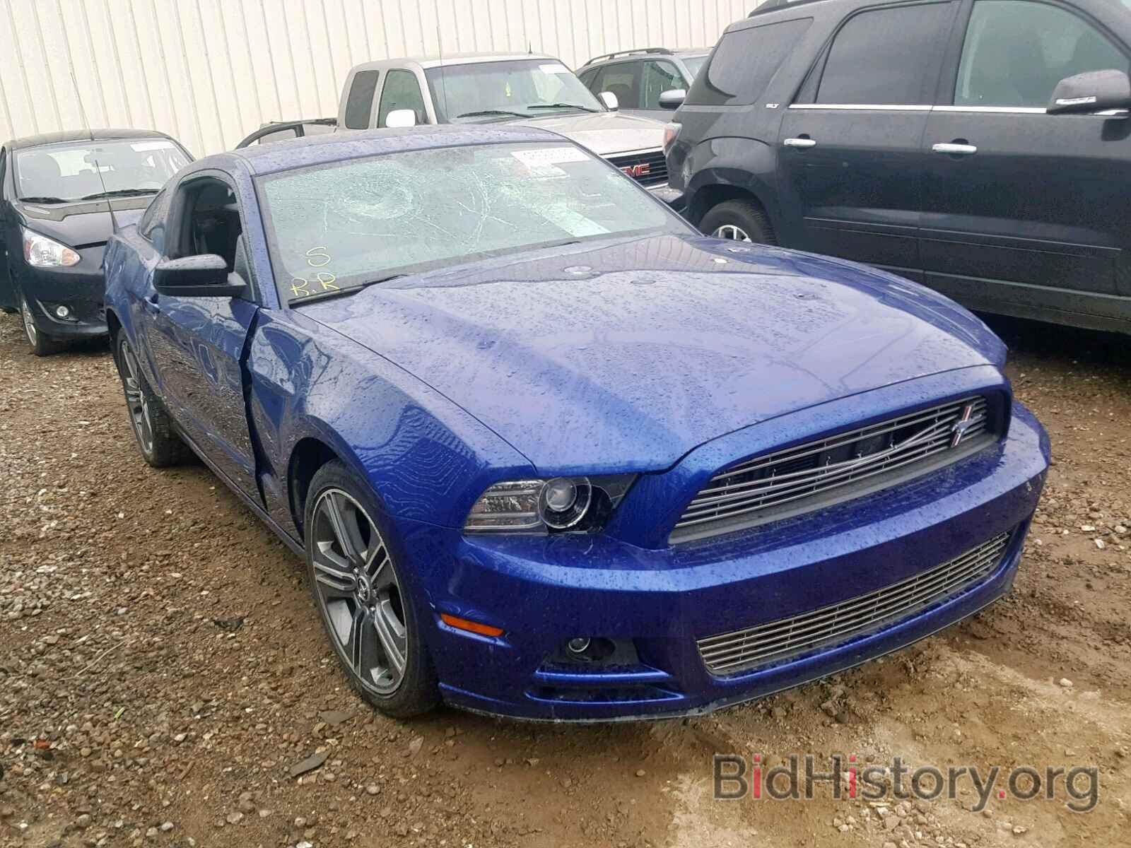 Photo 1ZVBP8AM4E5317579 - FORD MUSTANG 2014