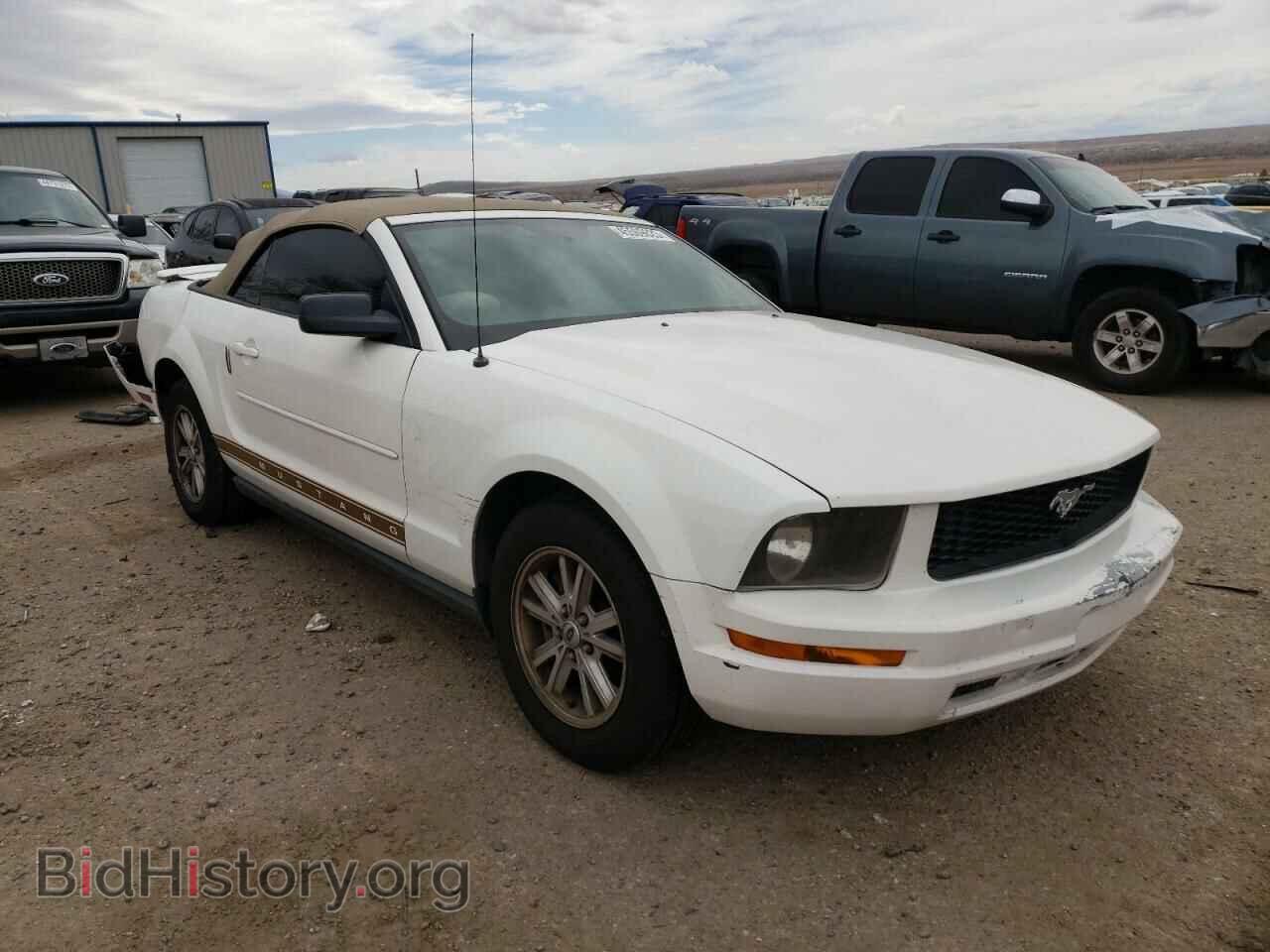 2007 FORD MUSTANG - VIN: 1ZVFT84NX75201534 - Фото 4