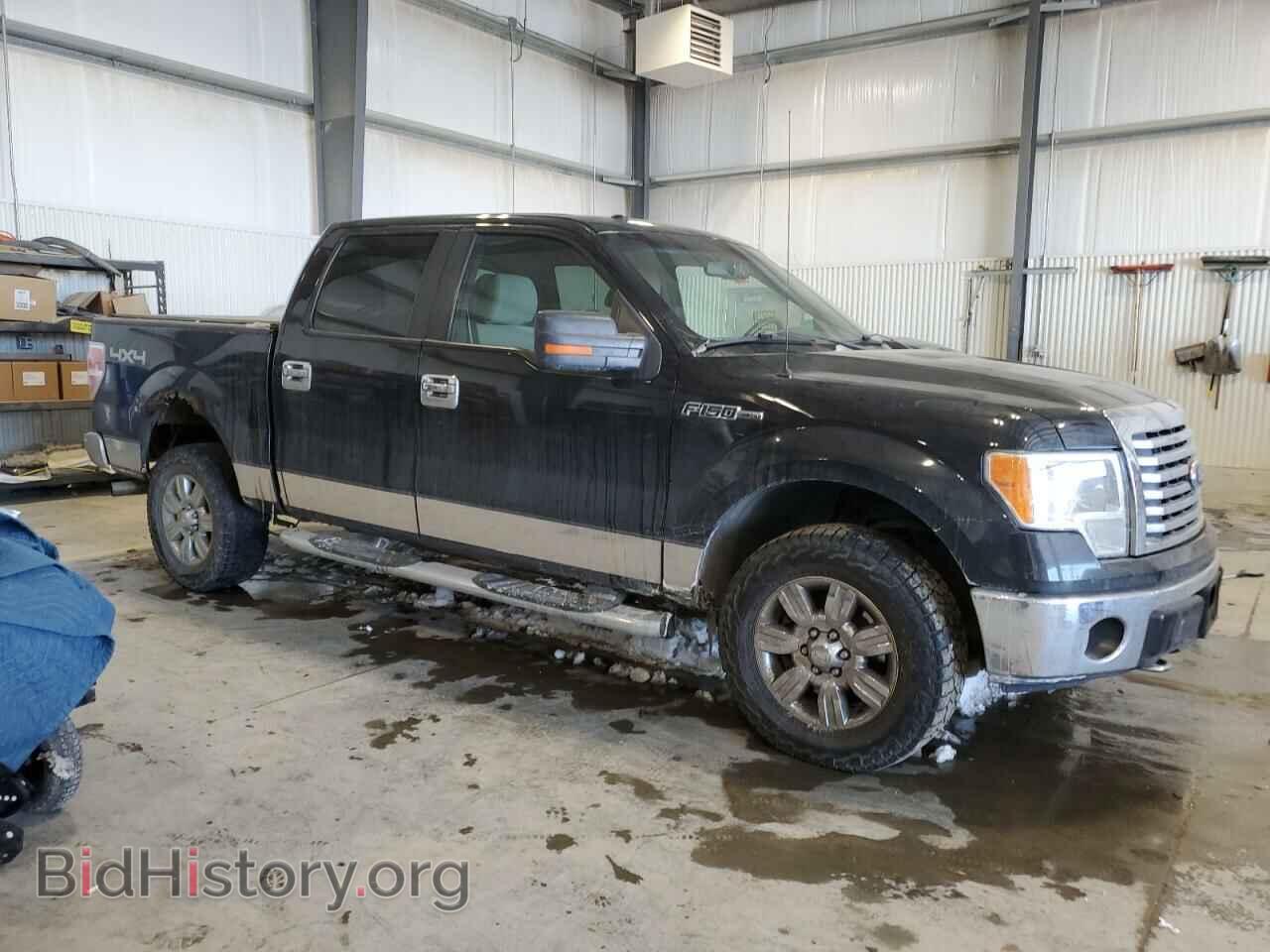 2010 FORD F-150 - VIN: 1FTFW1EV1AFA95217 - Фото 4