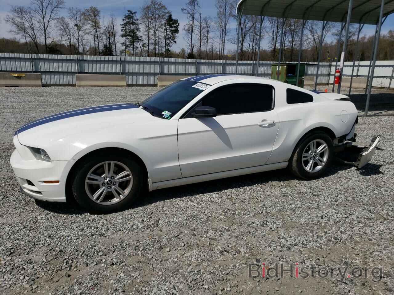 Photo 1ZVBP8AM1D5261843 - FORD MUSTANG 2013