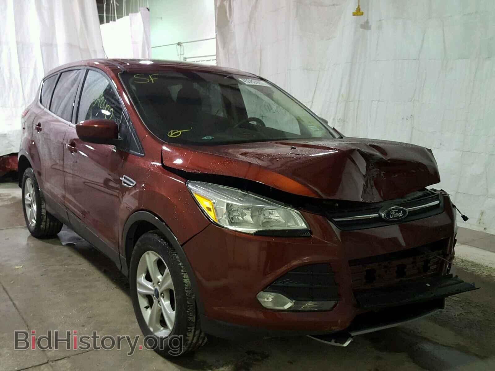 Photo 1FMCU0GX6EUB13760 - FORD ESCAPE 2014